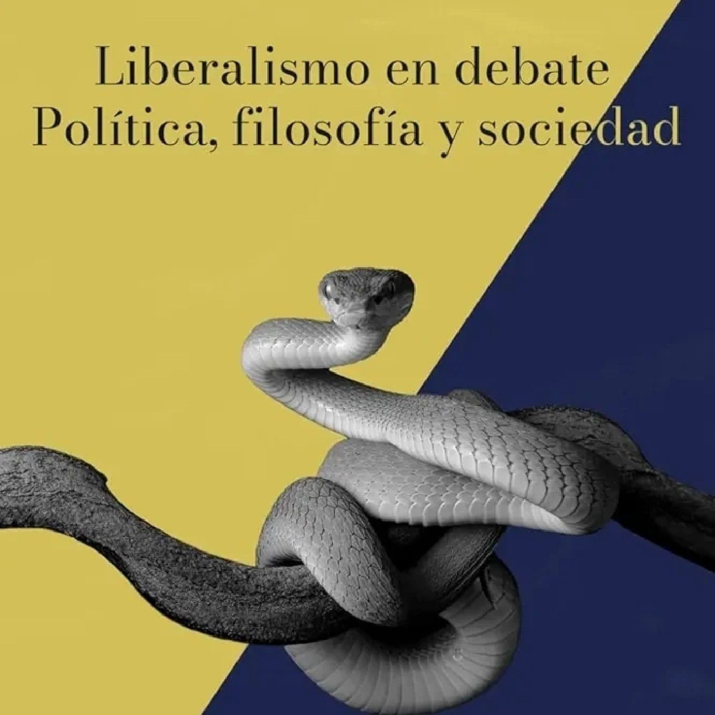 Liberalismo en Debate