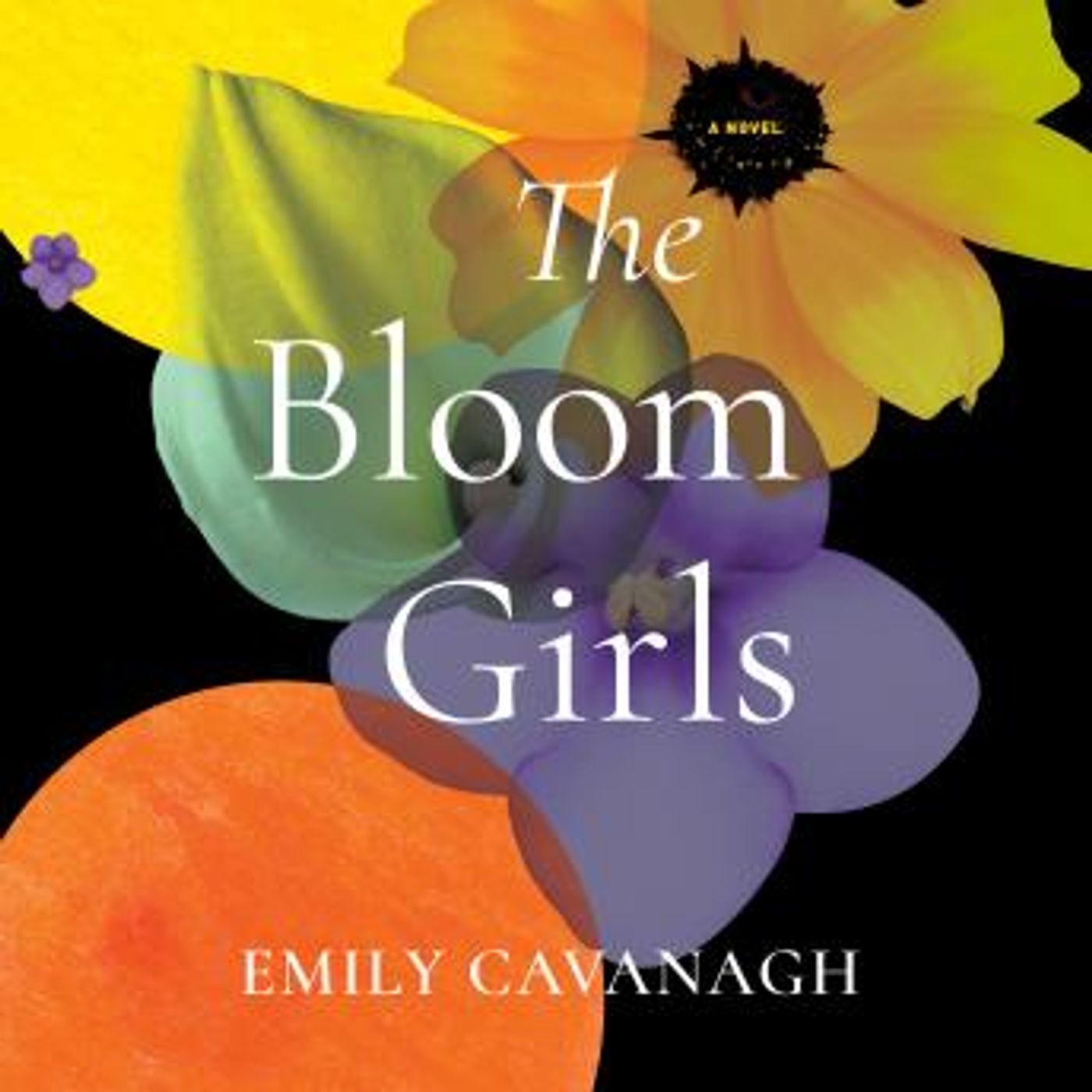 Listen to Best Full Audiobooks in Fiction, Contemporary Women