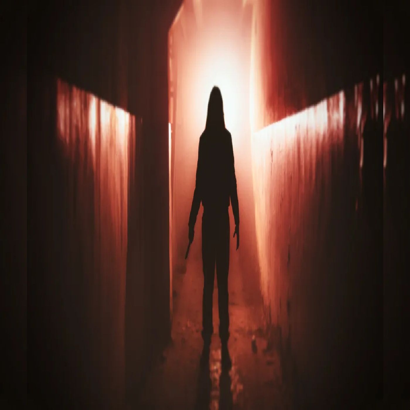 Horrifying True Crime Stories