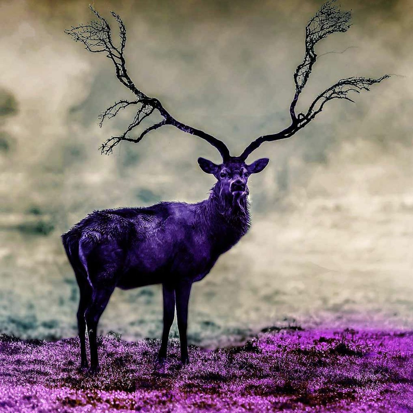 Stories Fables Ghostly Tales