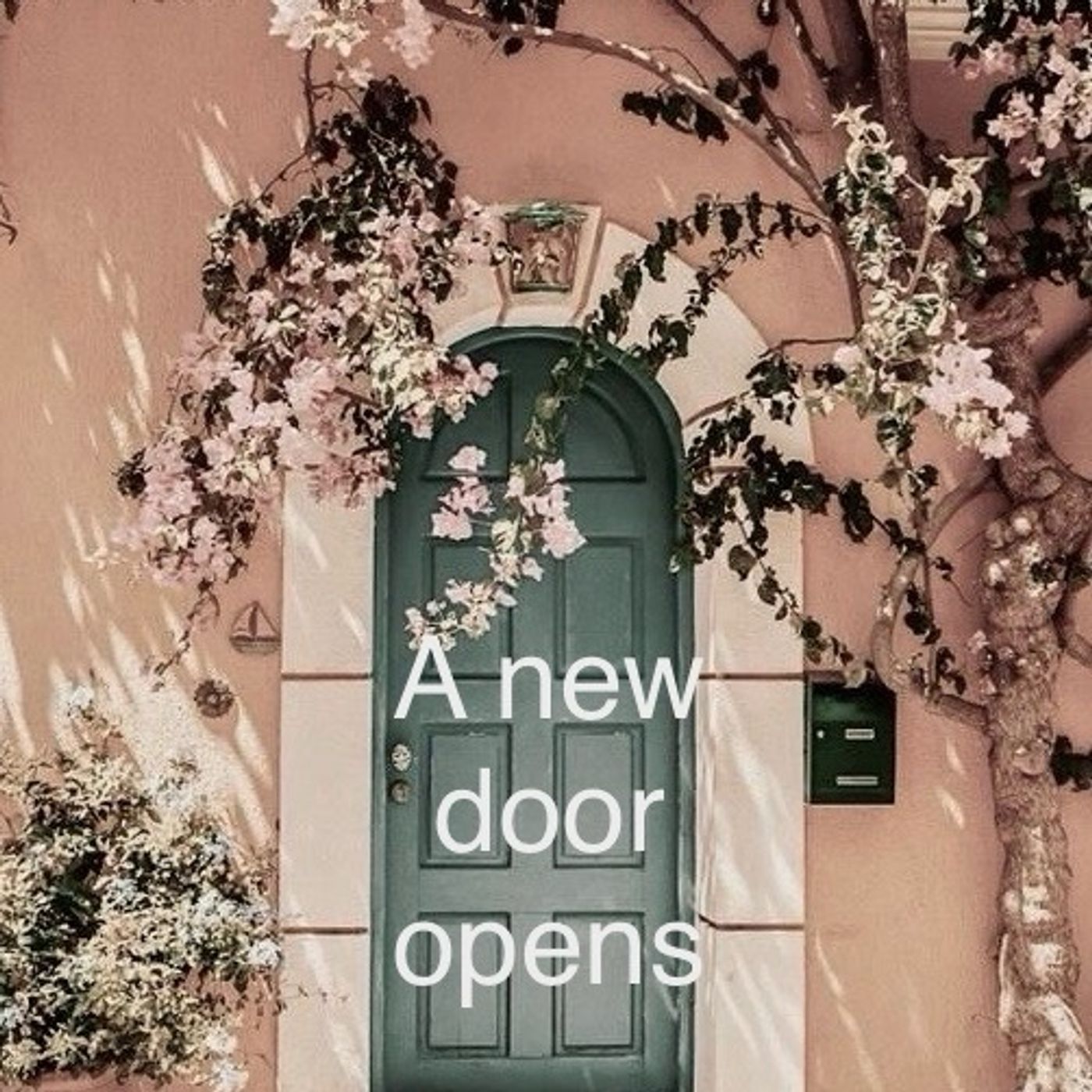 “A voice for all”