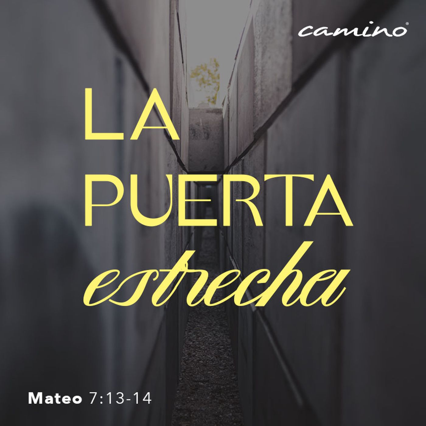 Oración 24 de abril (La puerta estrecha) episode artwork
