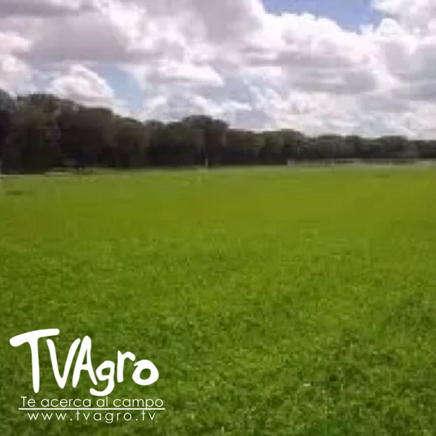 TV AGRO