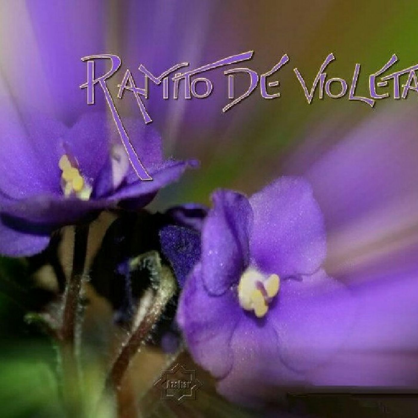 Iván Degay\'s tracks