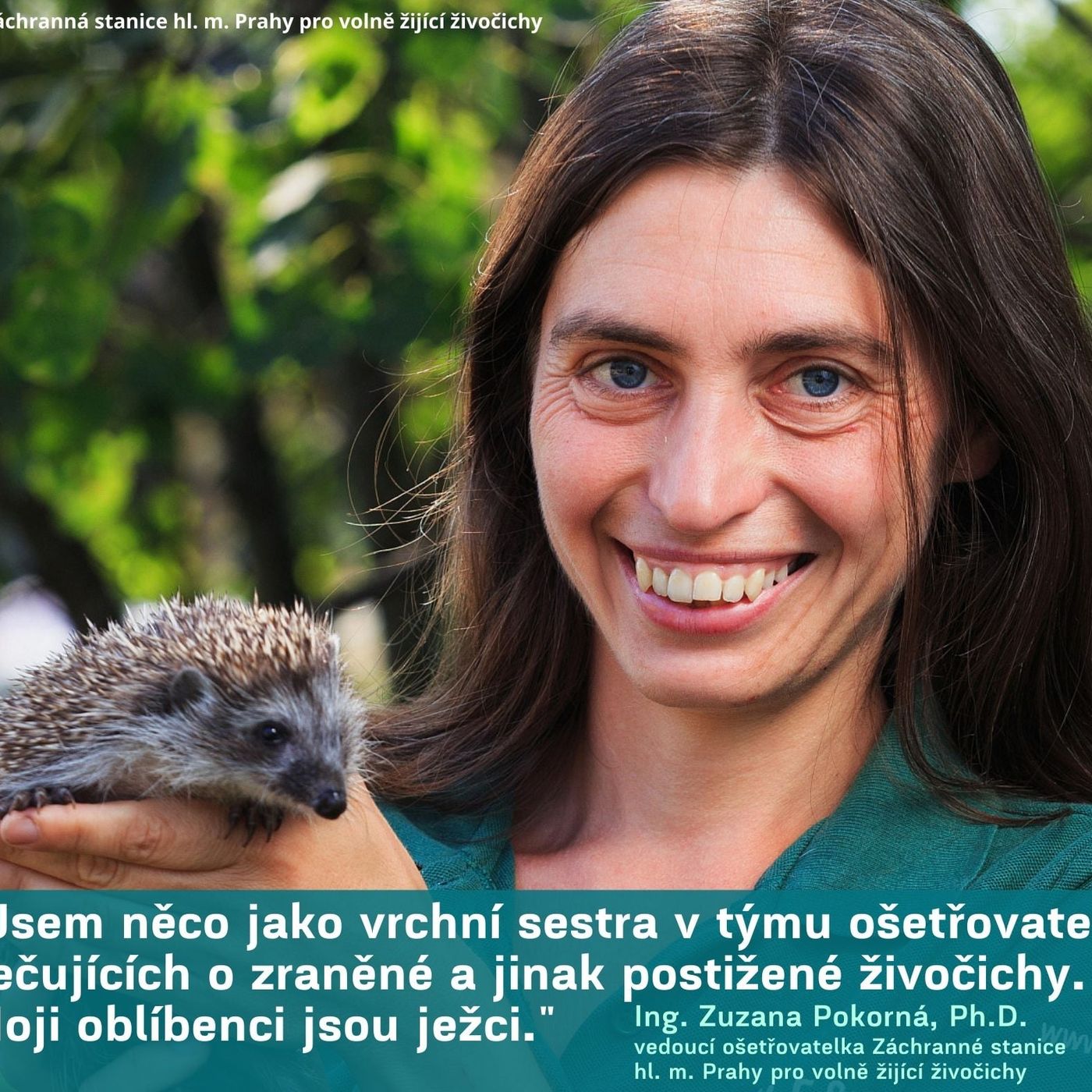 Zátiší 4/5/2022: Zuzana Pokorná a Záchranná stanice hl. m. Prahy pro volně žijící živočichy episode artwork