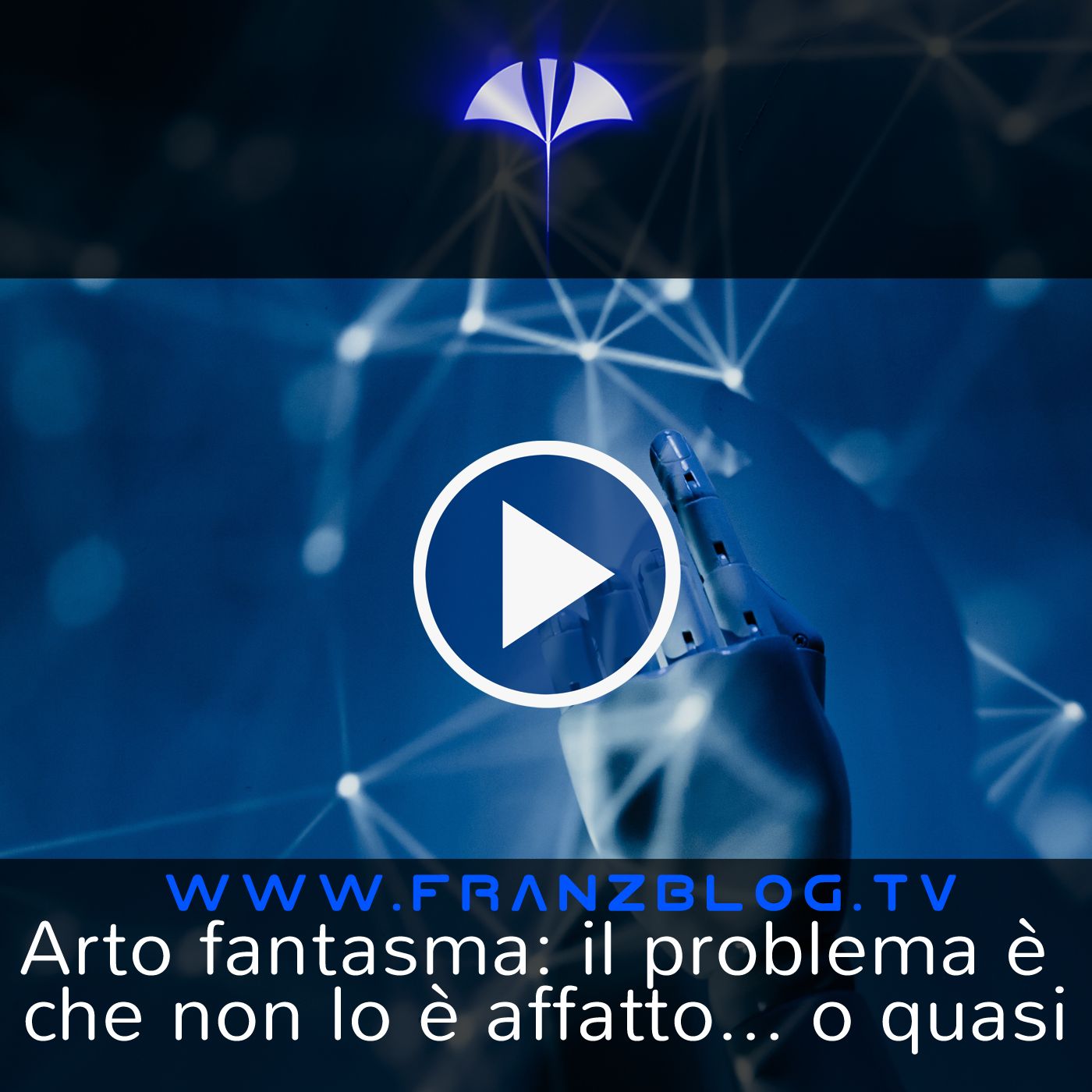 Franz\'s Blog
