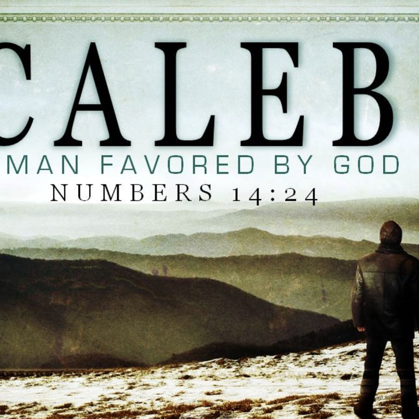 Numbers chapter 14
