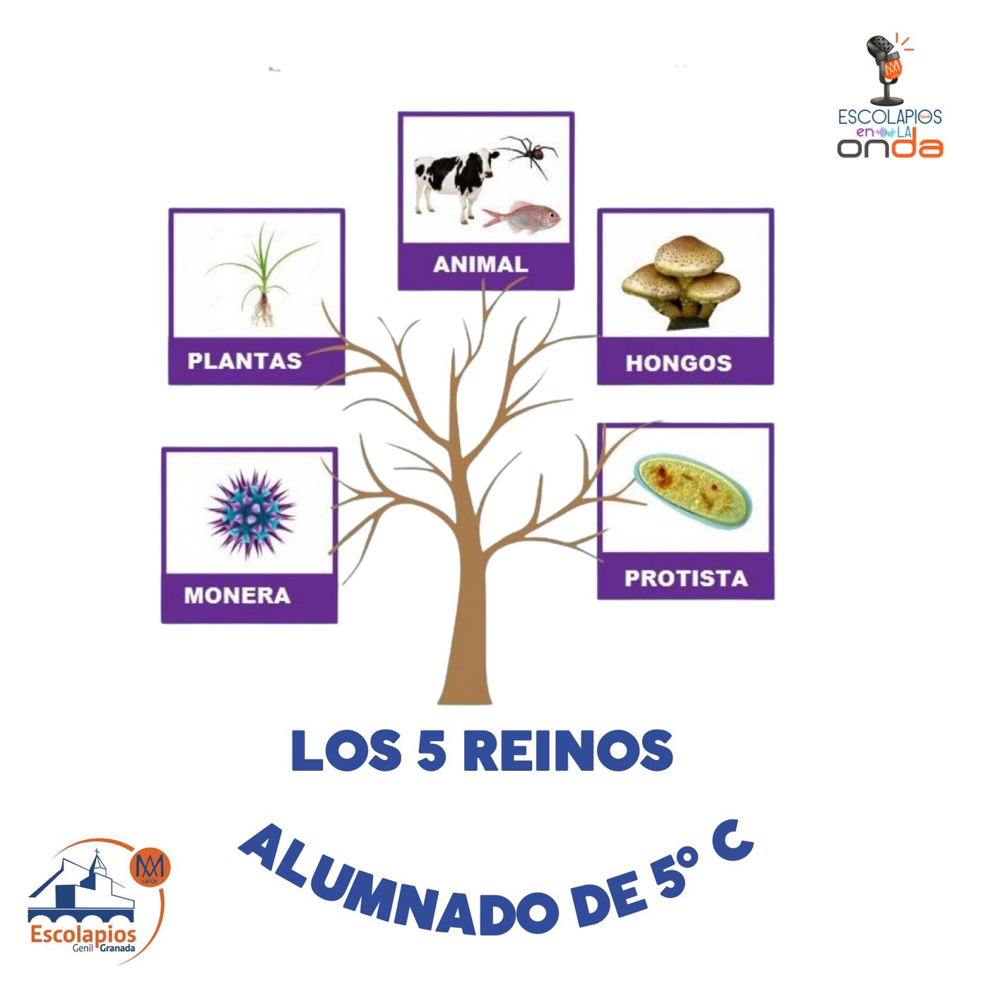 Proyectos en el aula | Escolapios en la onda