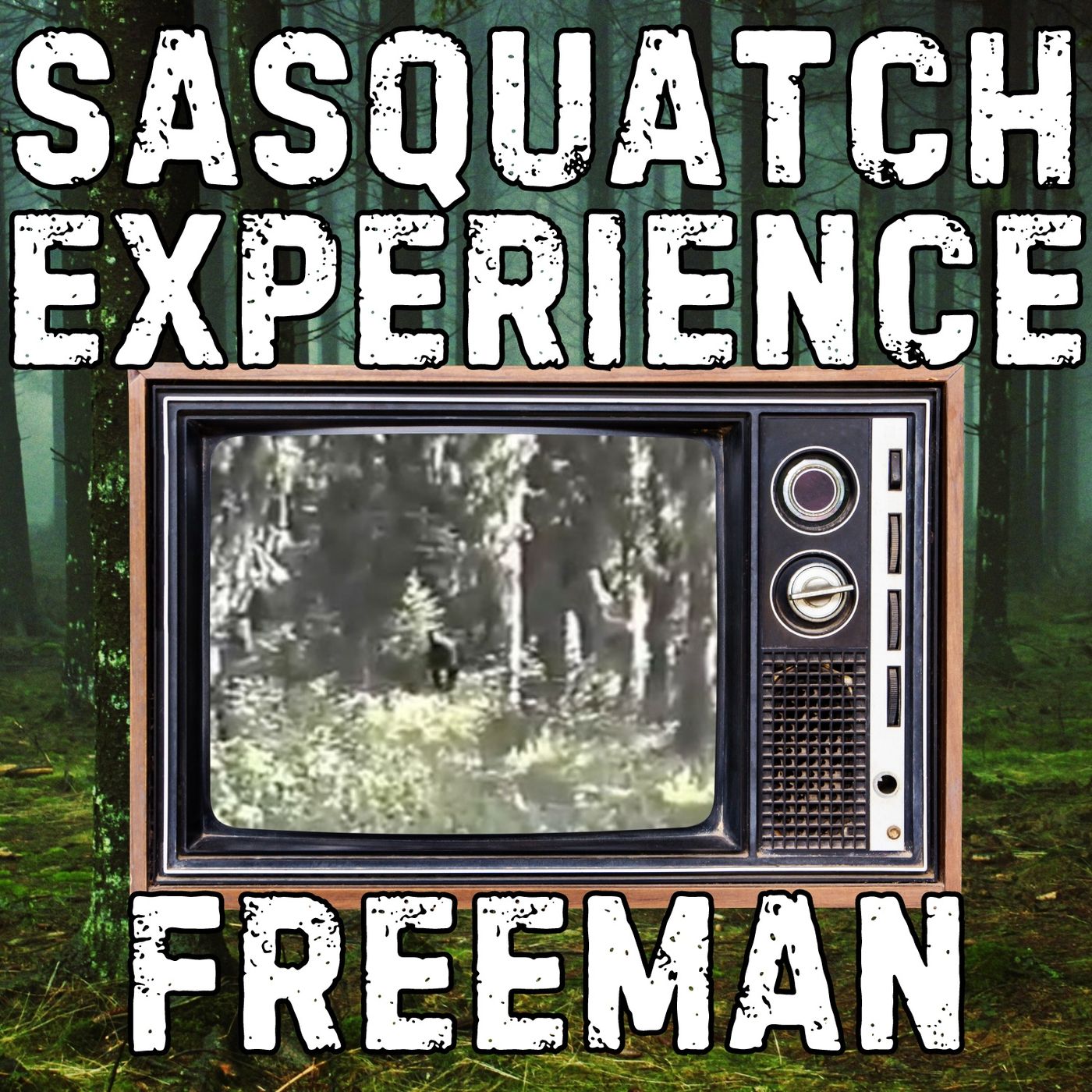 Sasquatch Experience
