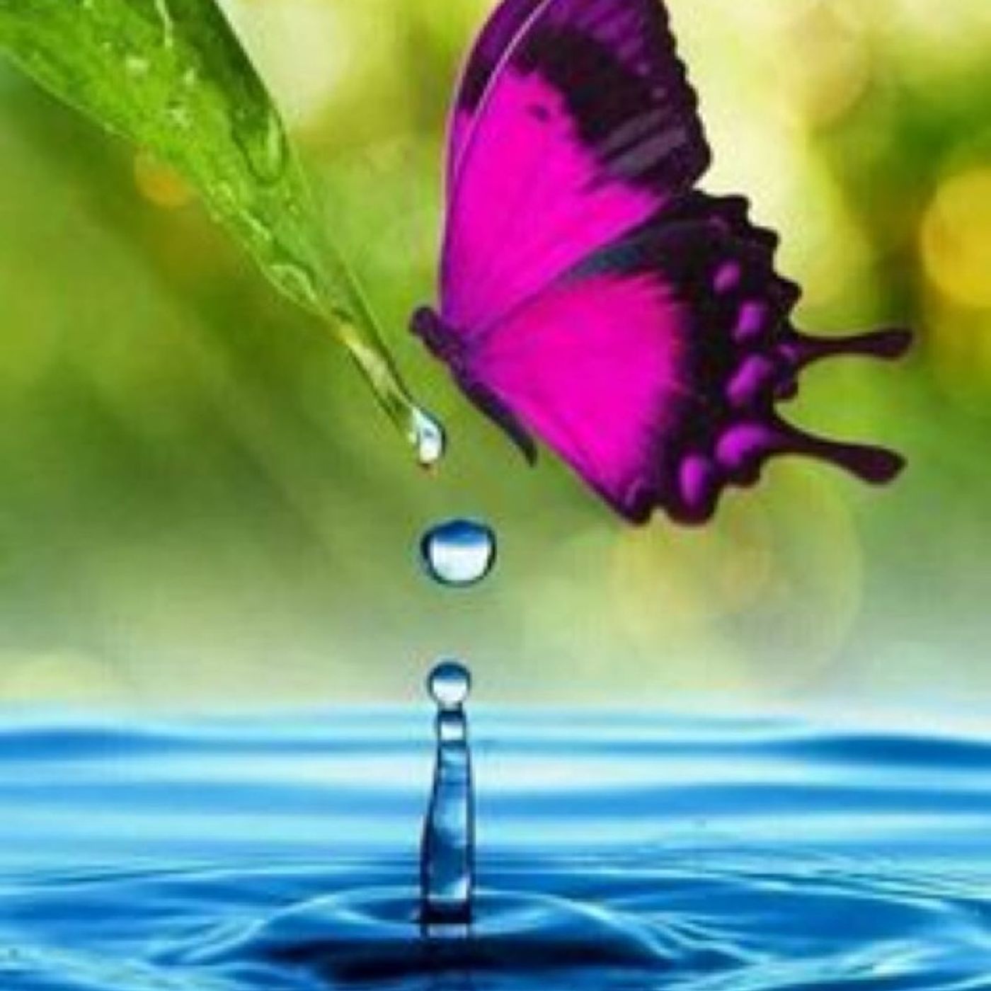 Meditazioni guidate