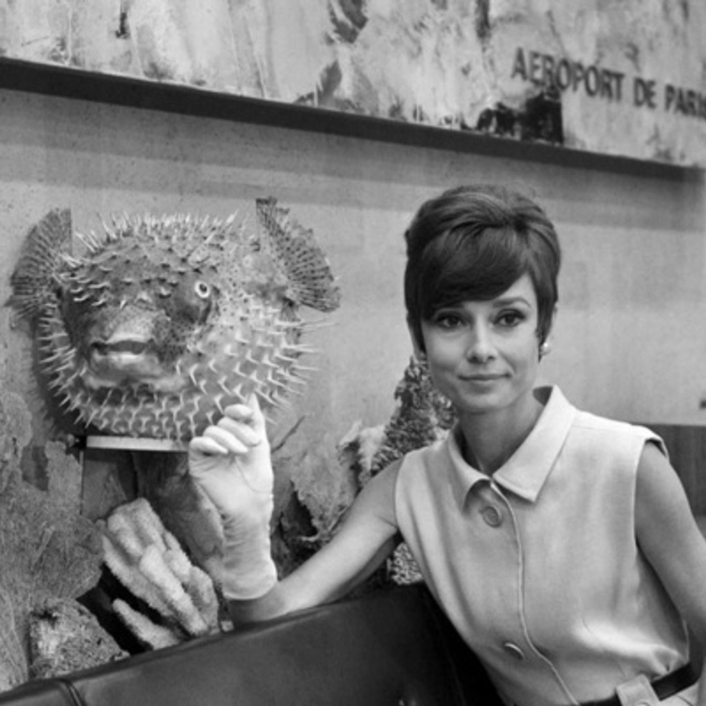 La Story Bruxellois(e)s (Episode 3) : Audrey Hepburn