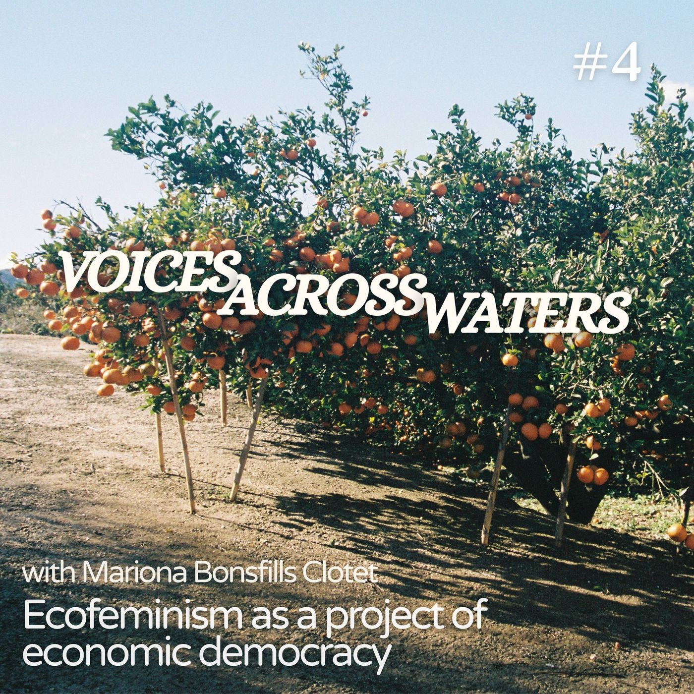 Ecofeminism as a project of economic democracy episode artwork