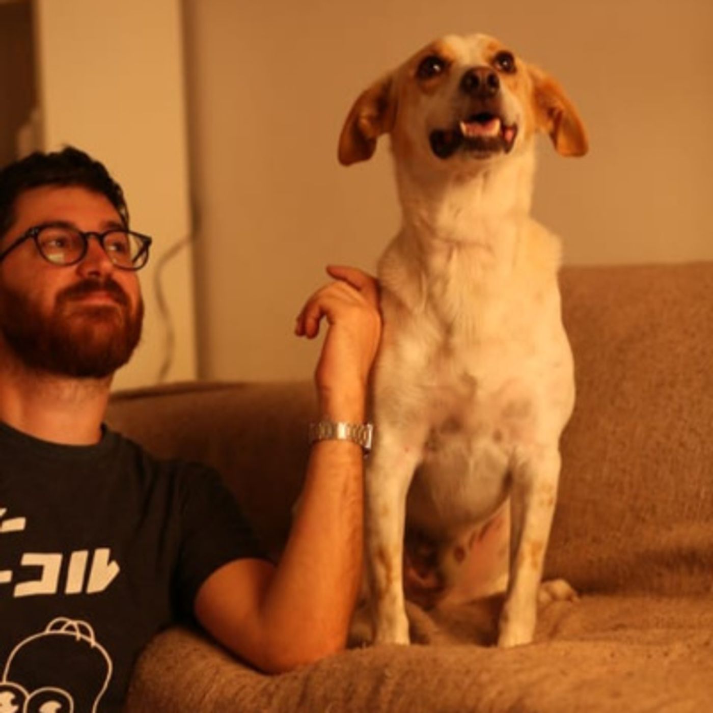 Radioactivos - Conocé a "Perro feliz" un podcast sobre bienestar animal episode artwork