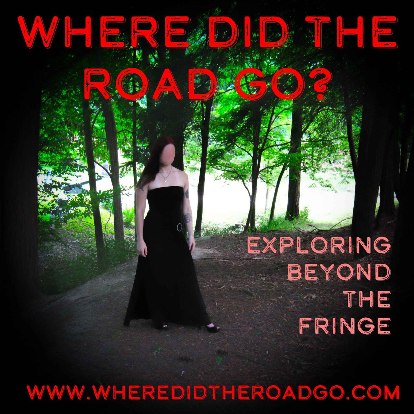 More Strange Things in the Woods with Steve Stockton - August 15, 2015 episode artwork