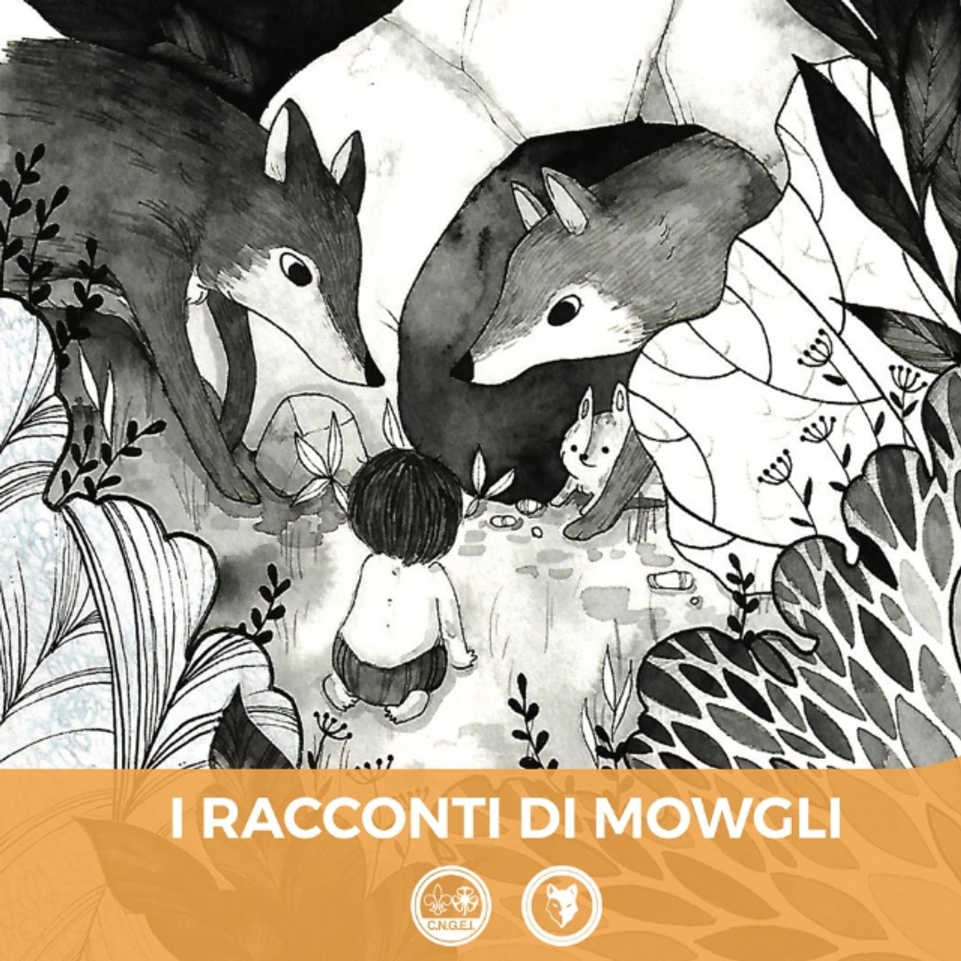 I racconti di Mowgli podcast artwork