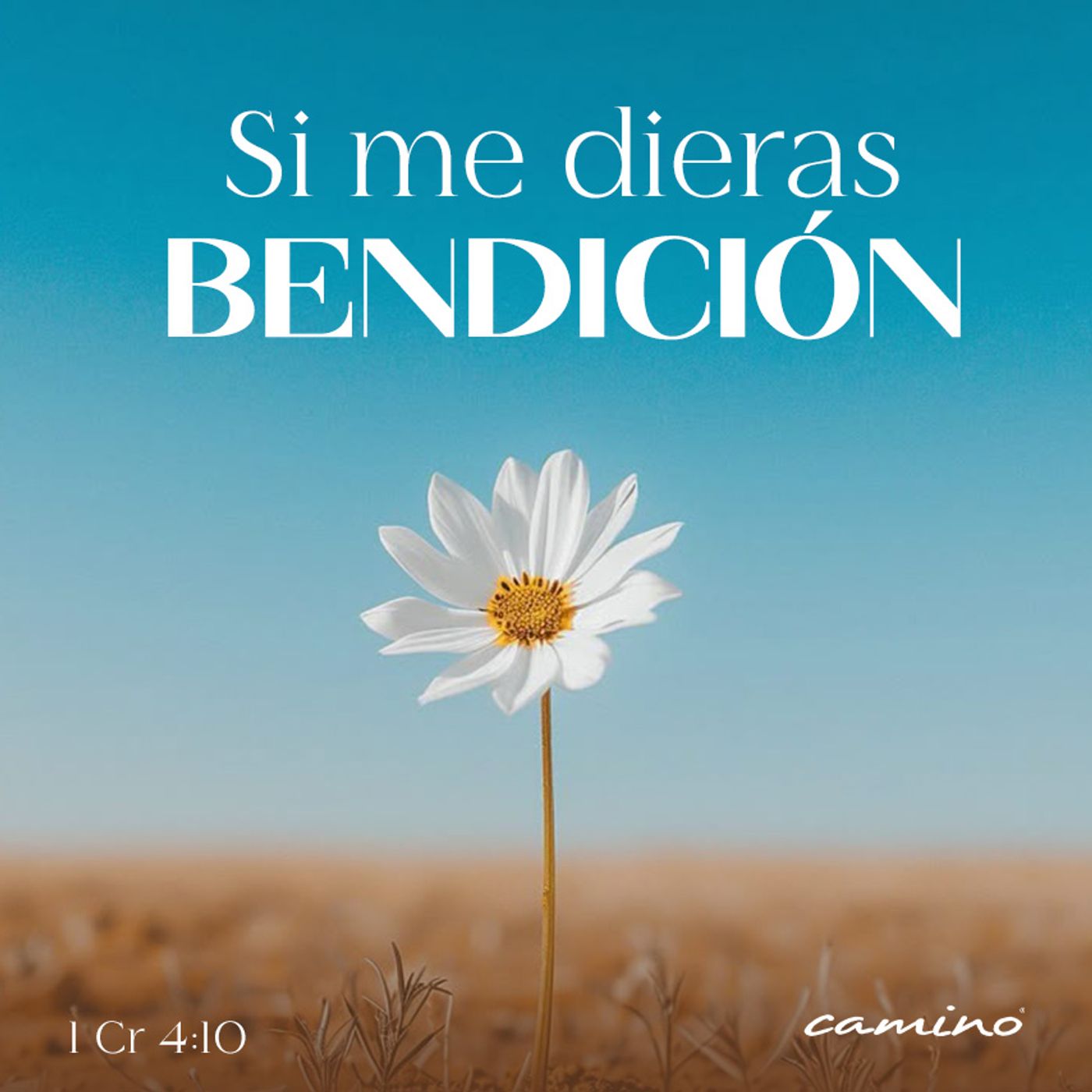 Oración 14 de mayo (Si me dieras bendición) episode artwork