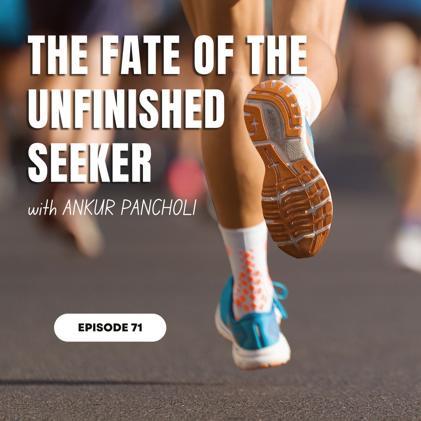 Episode 71 : The Fate of the Unfinished Seeker | Bhagavad Gita 6.40–47 episode artwork