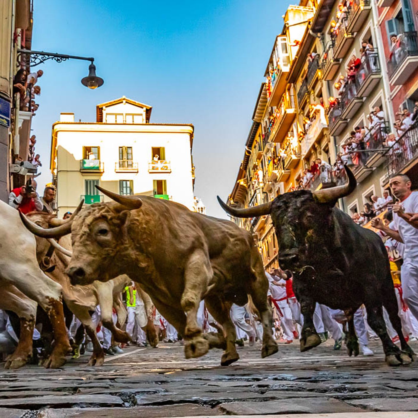 L’adrenalinica Festa di San Fermín a Pamplona episode artwork