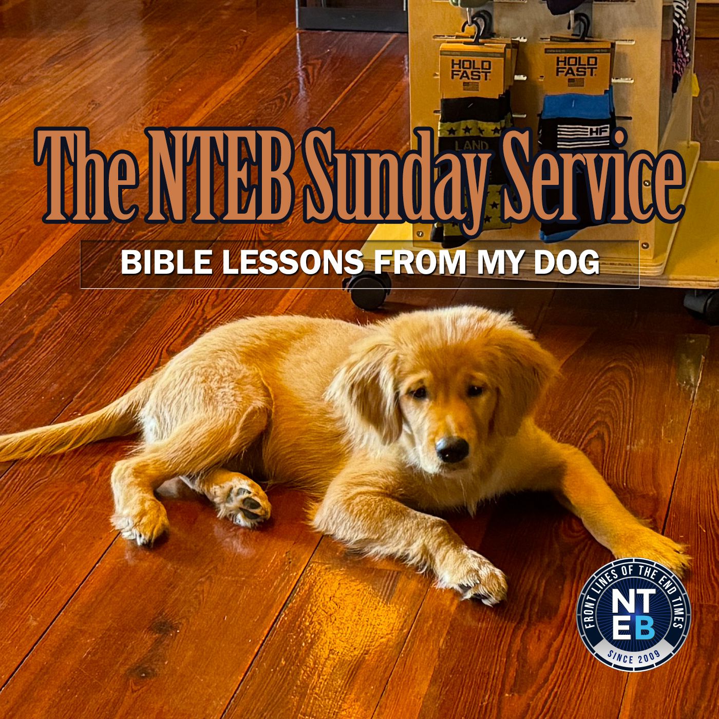 NTEB SUNDAY SERVICE: 3 Things My Dog Taught Me About The Bible episode artwork