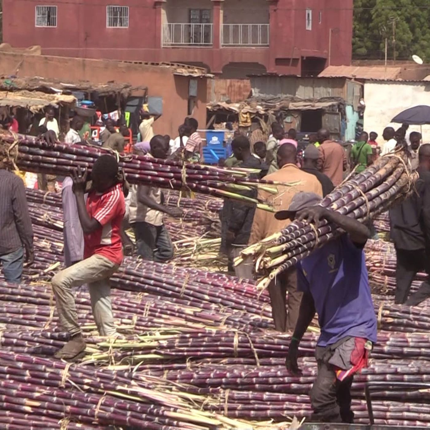 Entretien avec le Président de l’association des producteurs de la canne à sucre département de Dioundou (Niger sur kalangou) episode artwork
