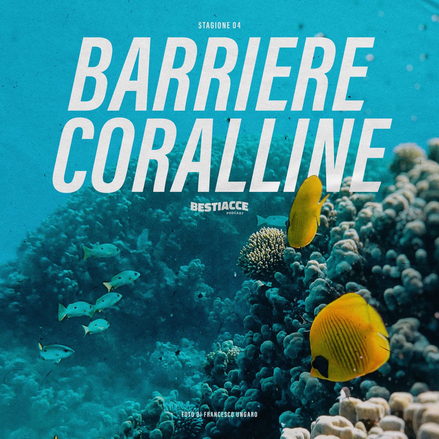 Ep 34 • Barriere Coralline