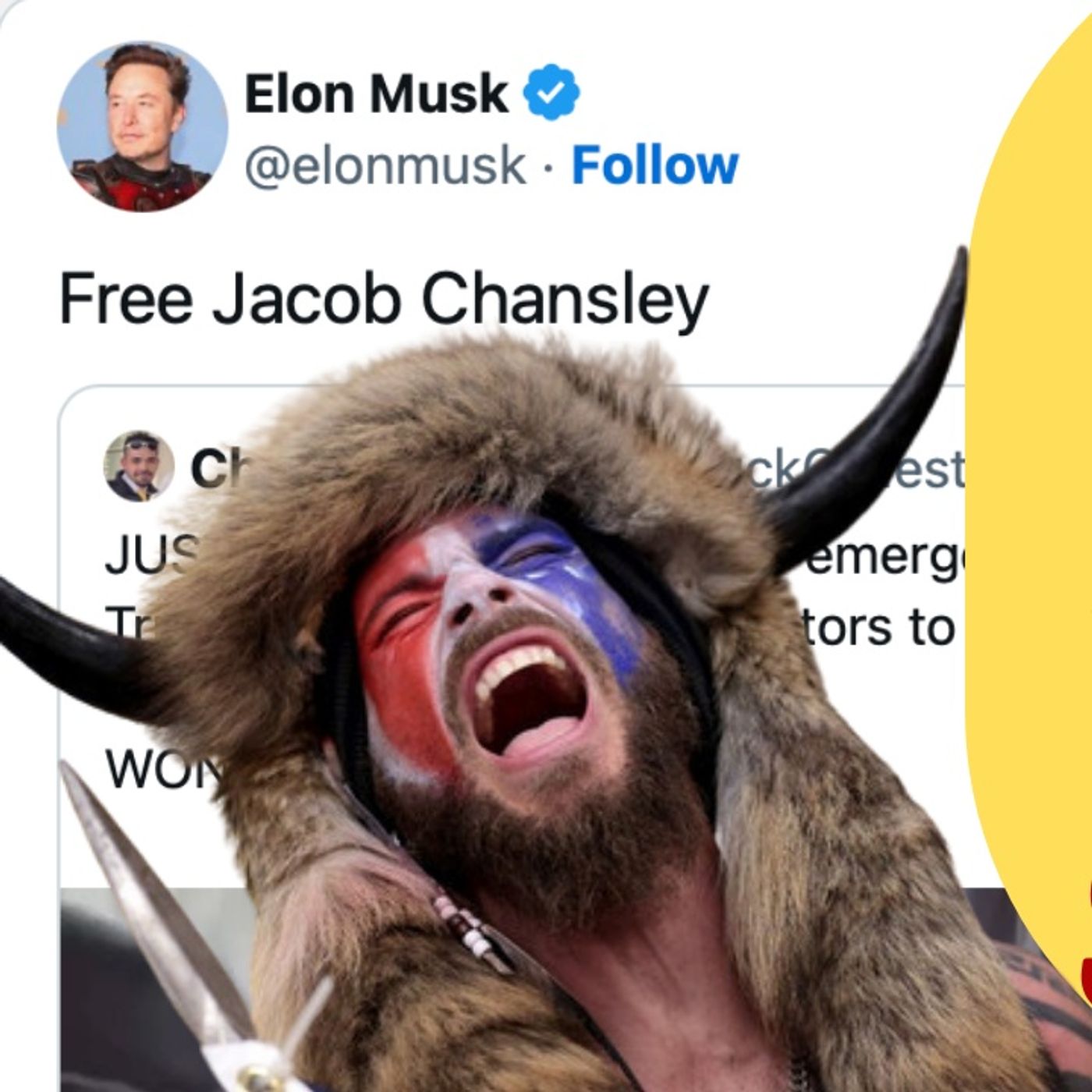 ELON MUSK Says Free The QANON SHAMAN