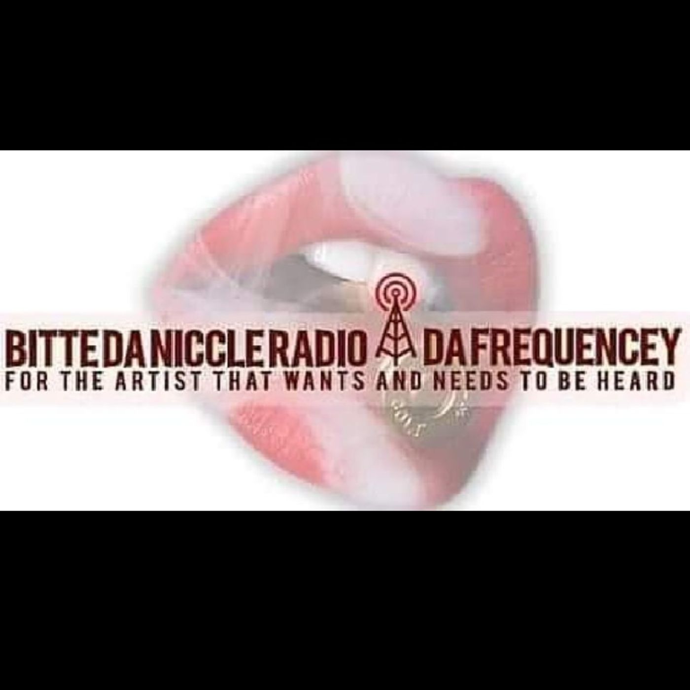B.D.N.RadioNetwork