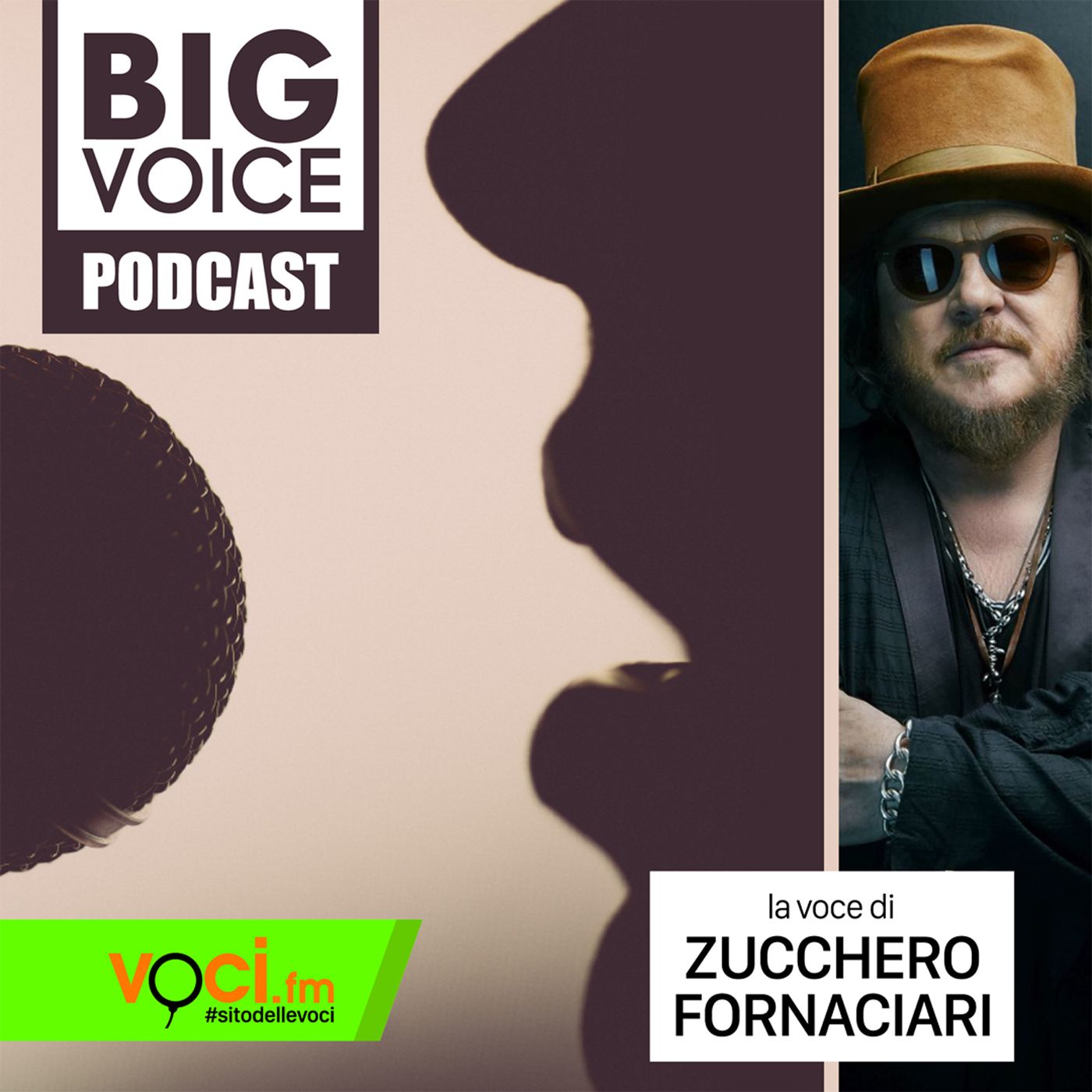 BIG VOICE PODCAST: Zucchero Fornaciari - clicca play e ascolta il podcast episode artwork