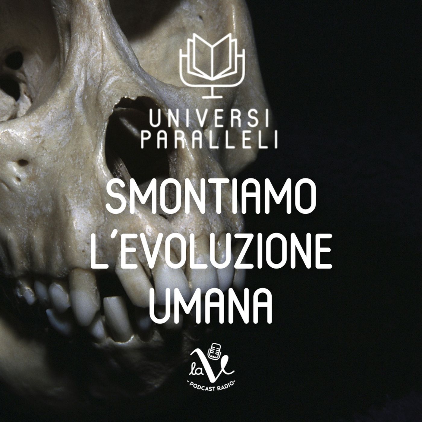 Universi Paralleli