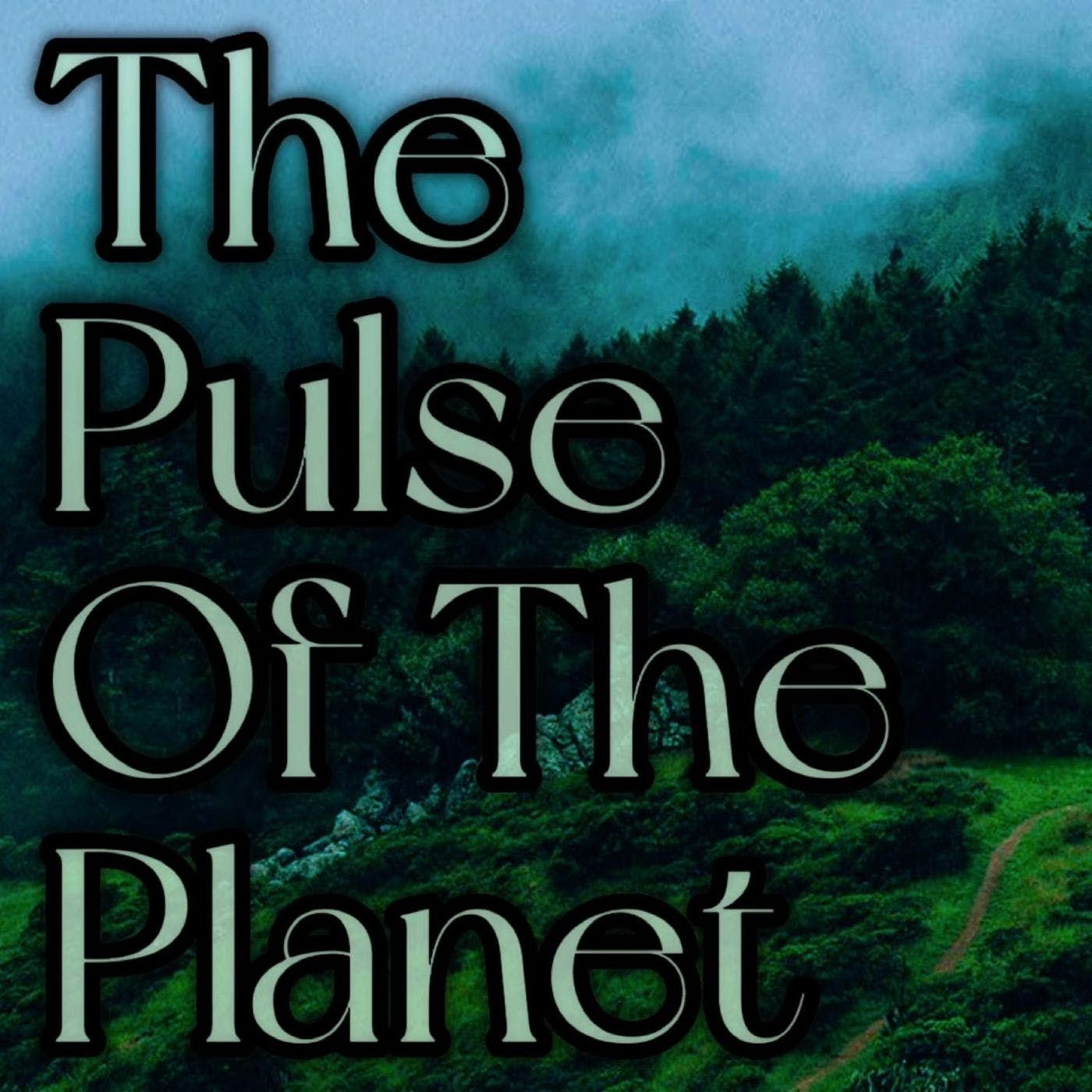The Pulse Of The Planet cover art