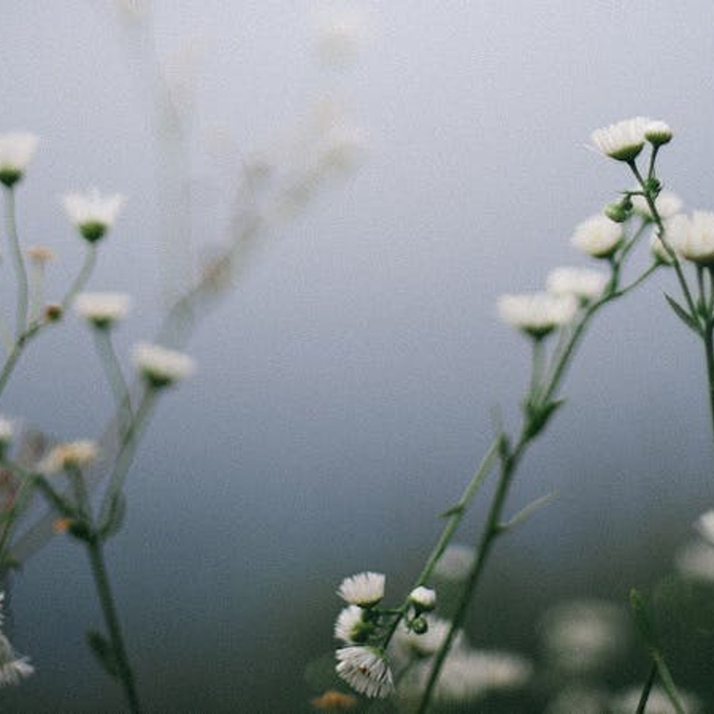 How Can I Jumpstart My Prayer Life?