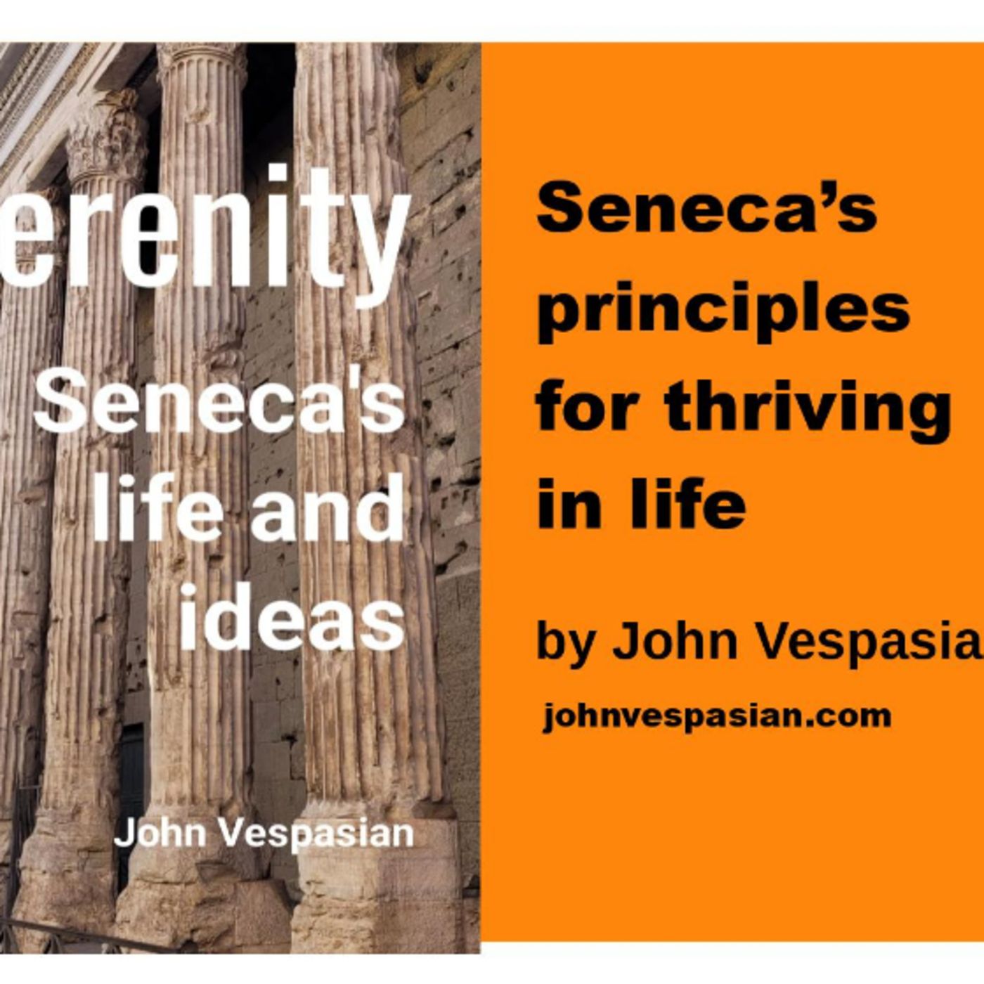 Seneca’s principles for thriving in life episode artwork