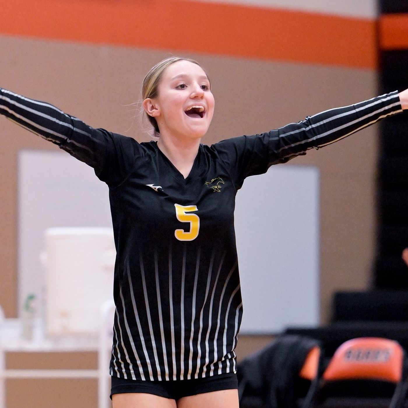 Daily Chronicle - Shaw Local