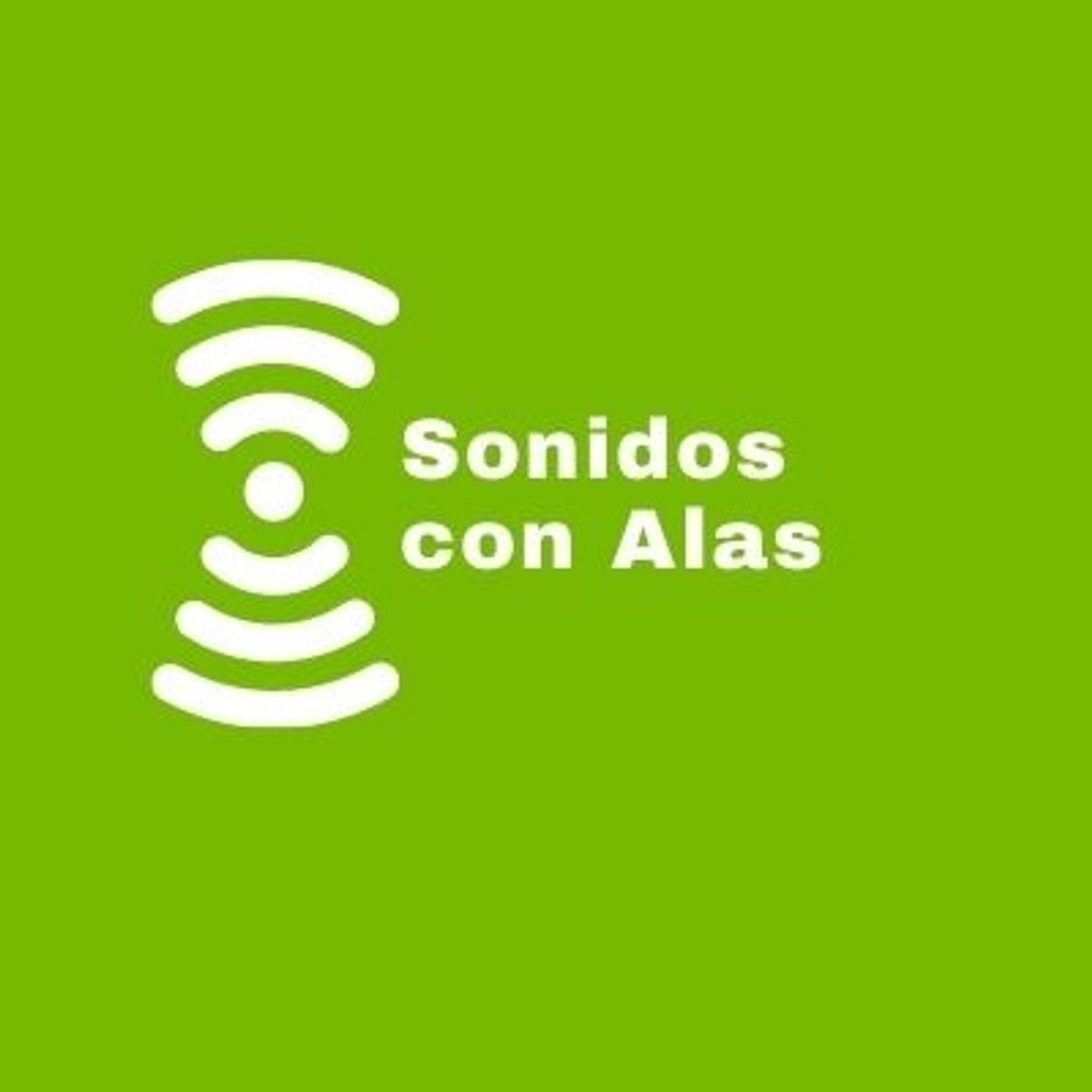 Sonidos con Alas