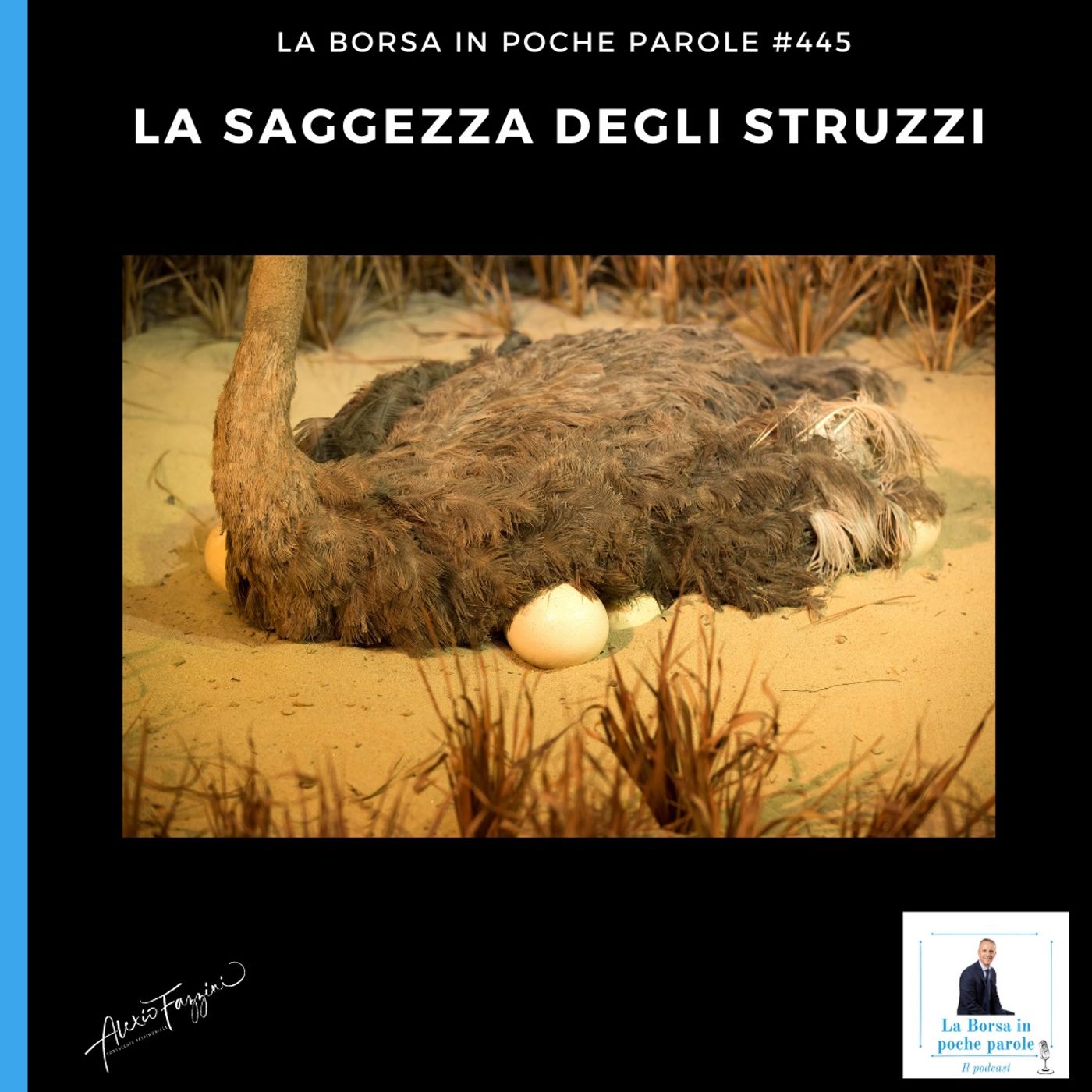 La Borsa...in poche parole - Show