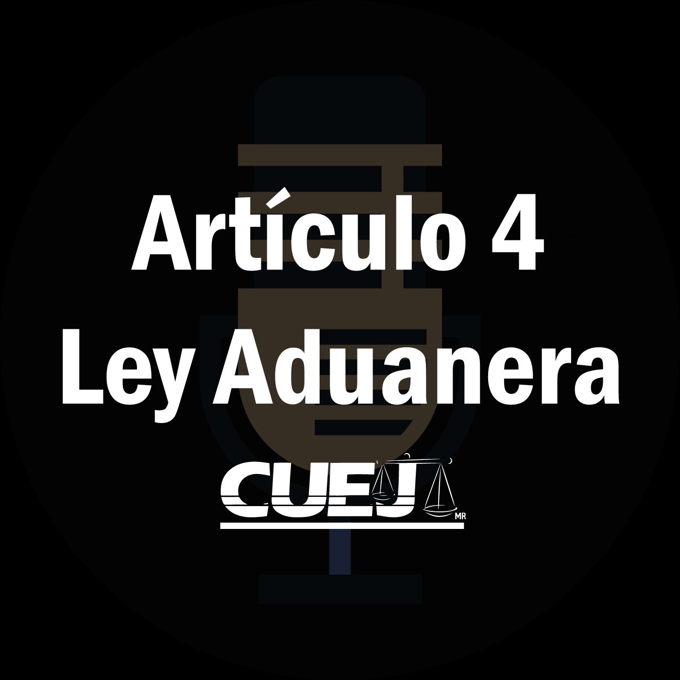 Audio Ley Aduanera