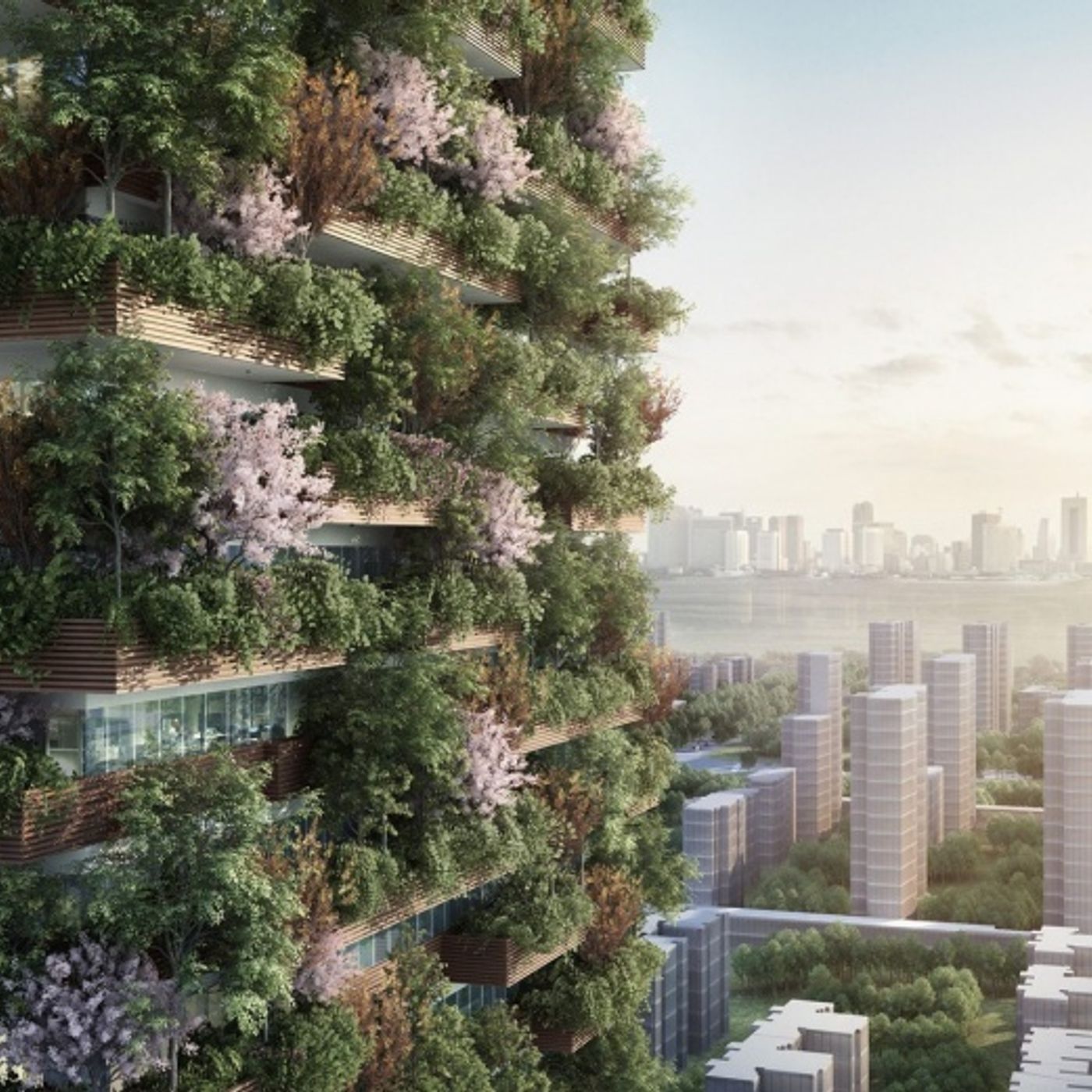 Le news di Re Soil Foundation
