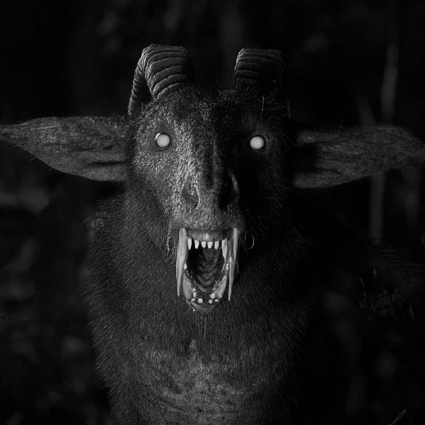 MILITARES Atraviesan La SELVA LACANDONA Historias De Terror - REDE