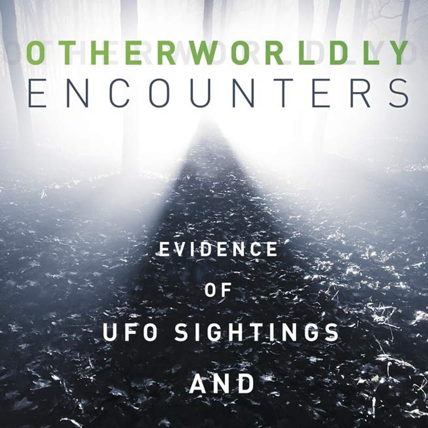 Rob McConnell Interviews - NOMAR SLEVIK - Otherworldly Encounters