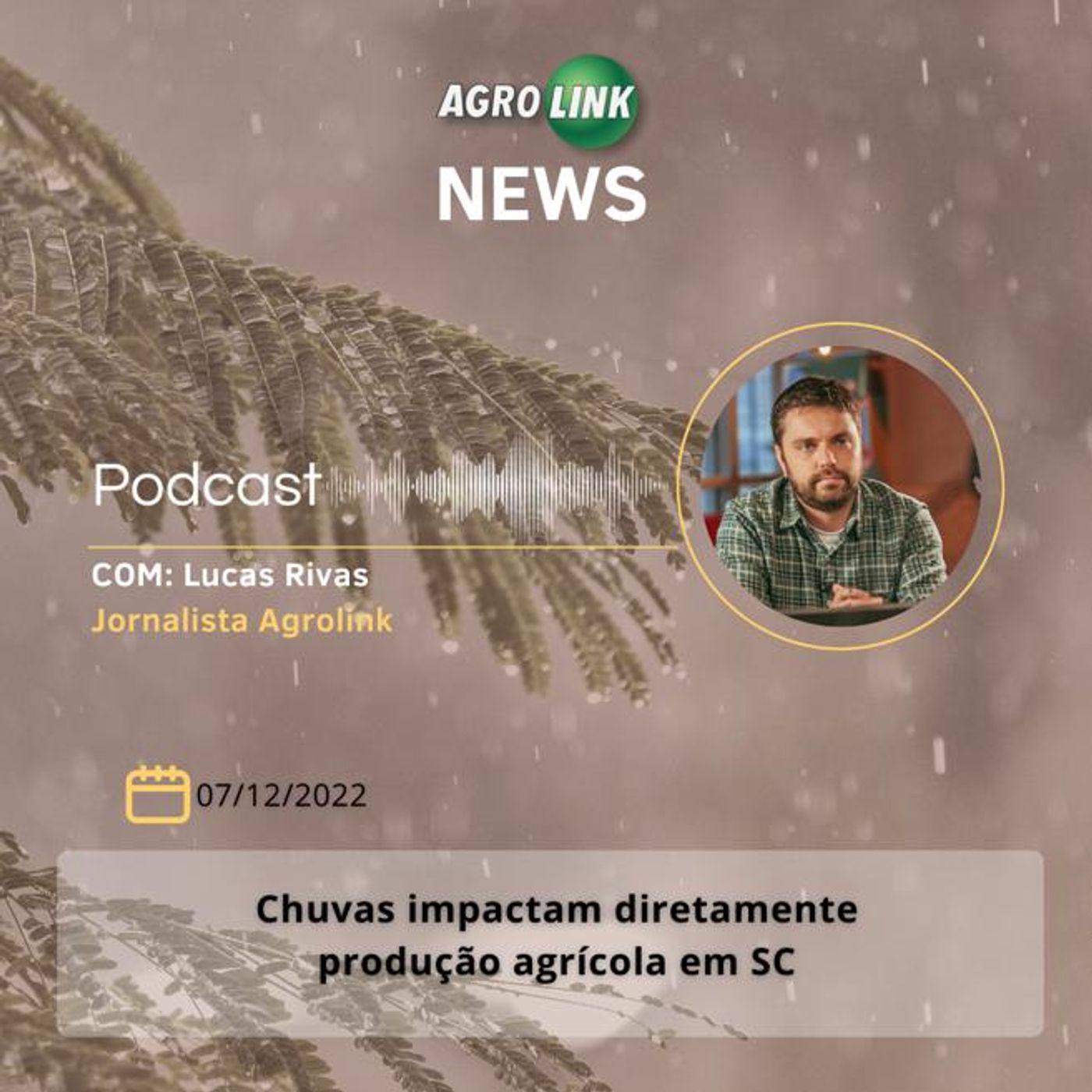 Plantio de soja atinge 100% em MT sem registro de ferrugem asiática episode artwork