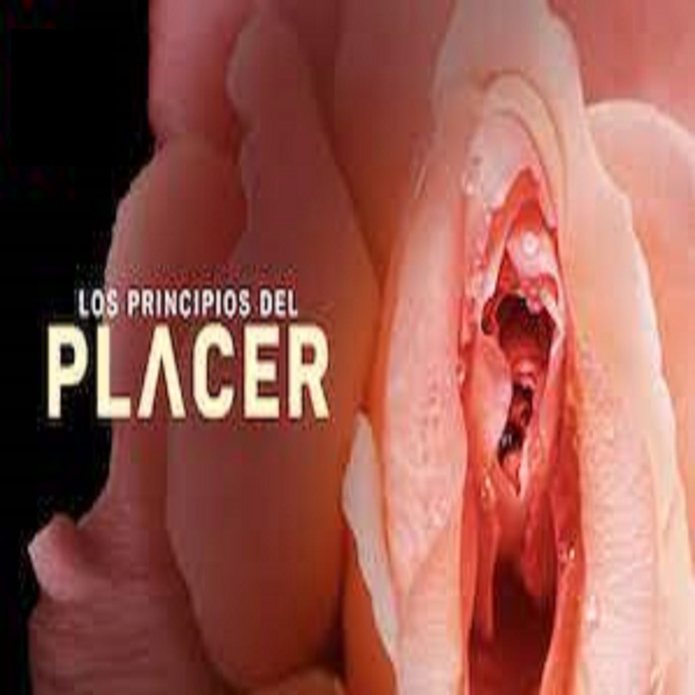 Los Principios del Placer - Nuestros cuerpos