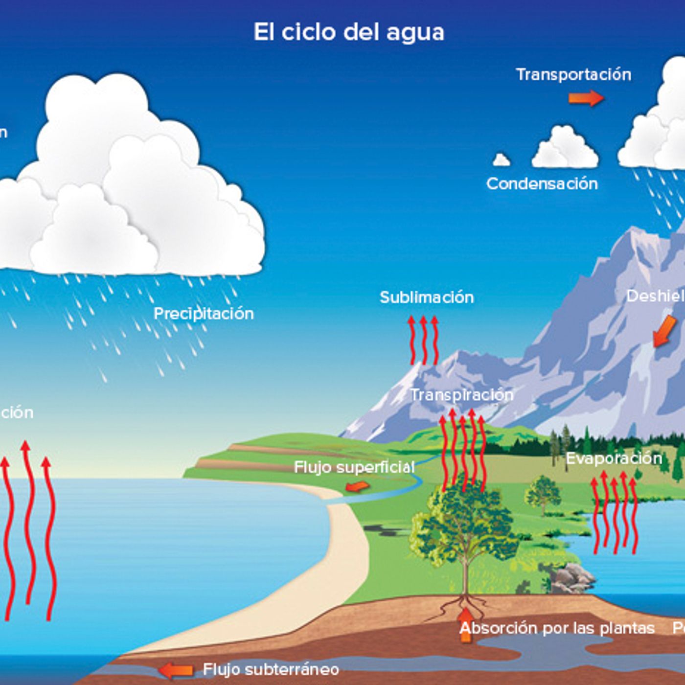 Explorando El Ciclo Del Agua podcast artwork