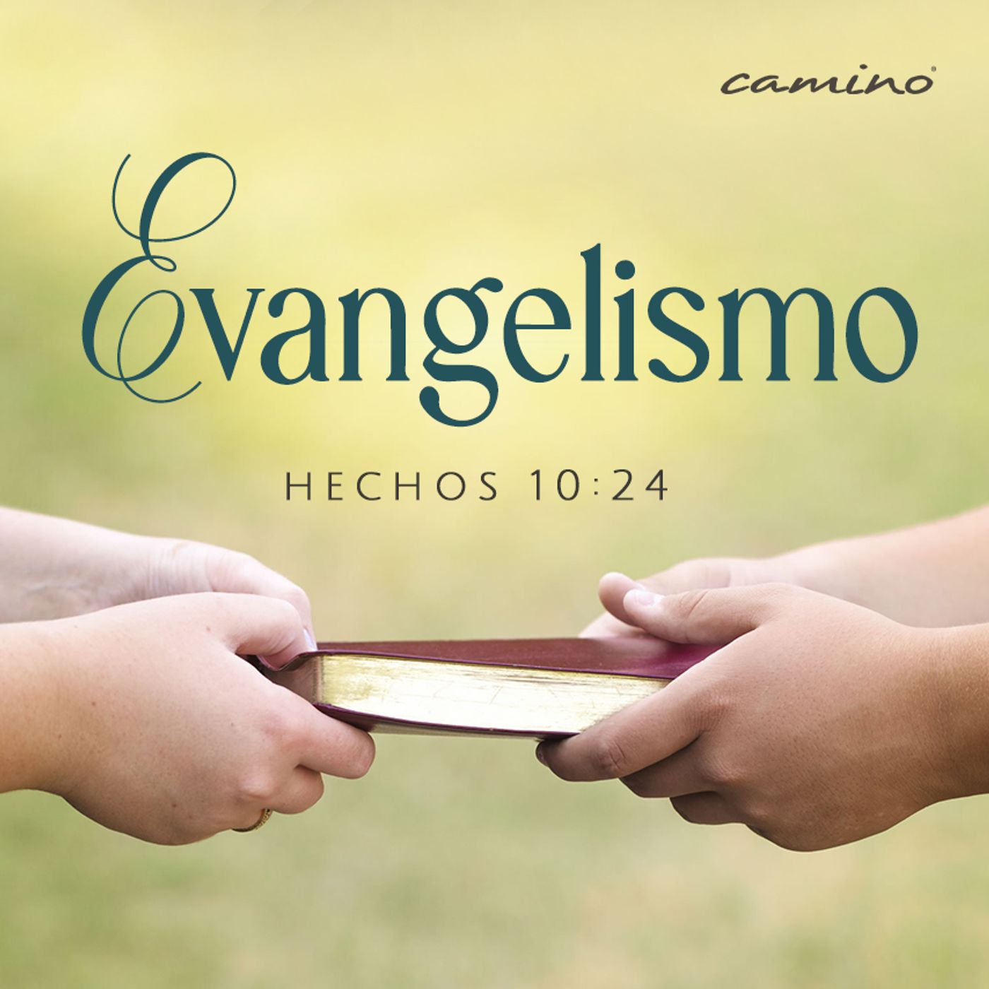 Oración 13 de agosto (Evangelismo) episode artwork