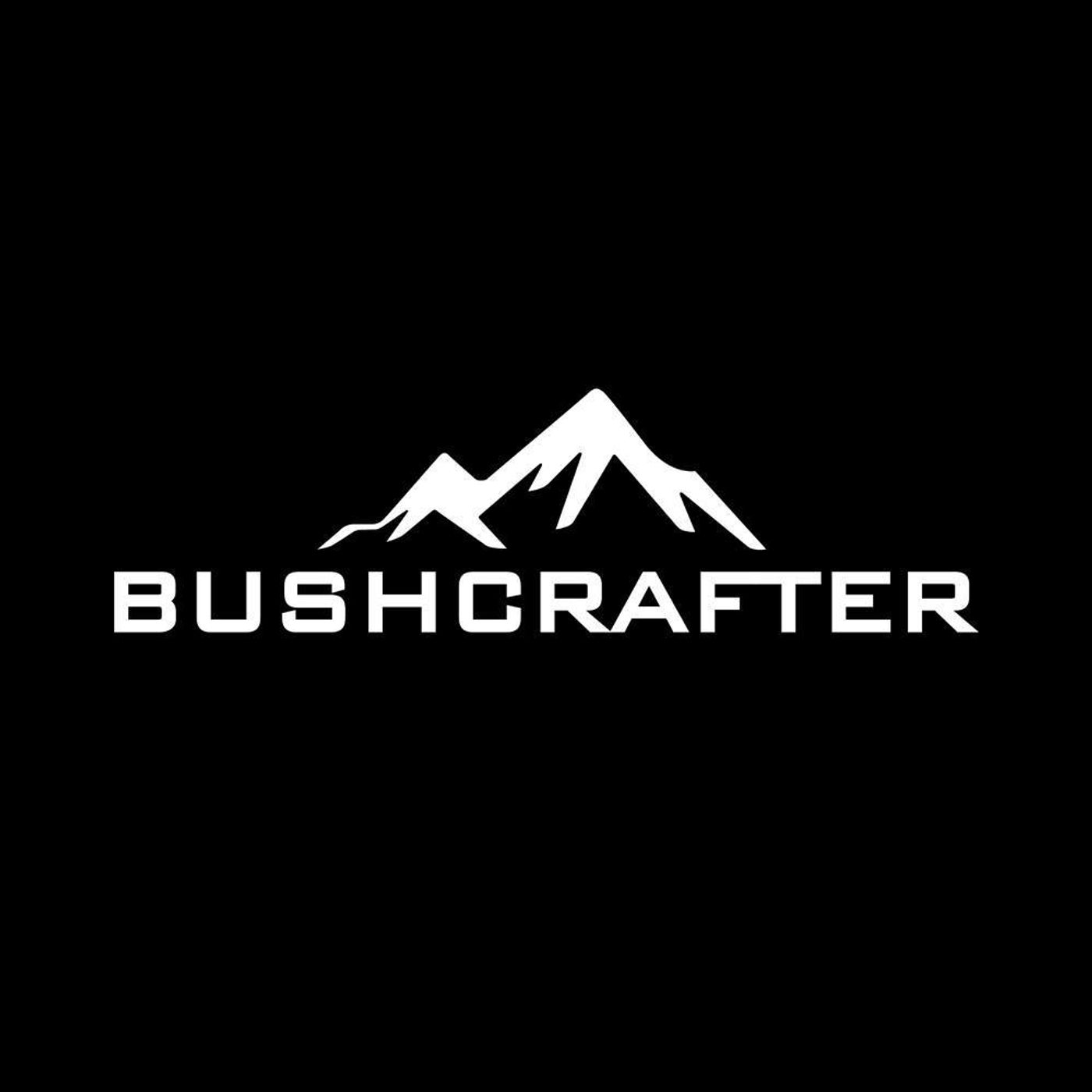 Cos’è il Fatwood, come trovarlo, raccoglierlo ed utilizzarlo in 5 Step