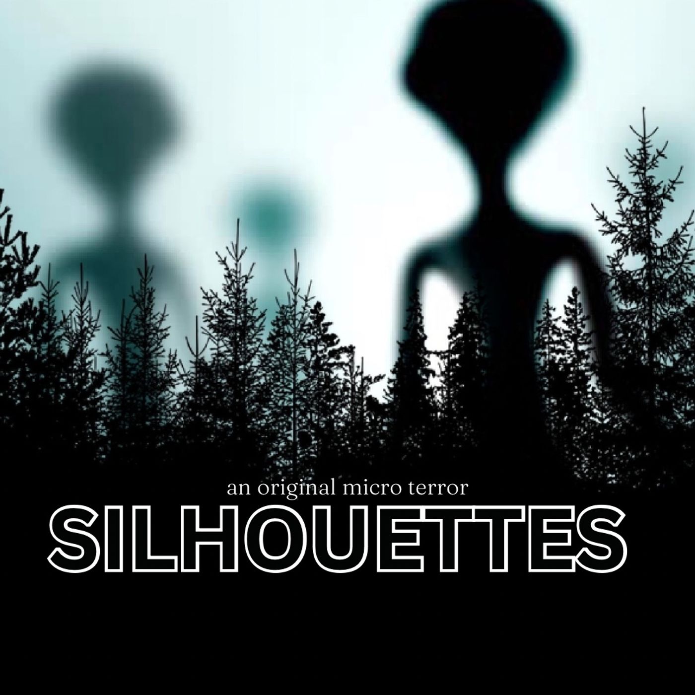 “SILHOUETTES” by Scott Donnelly #MicroTerrors