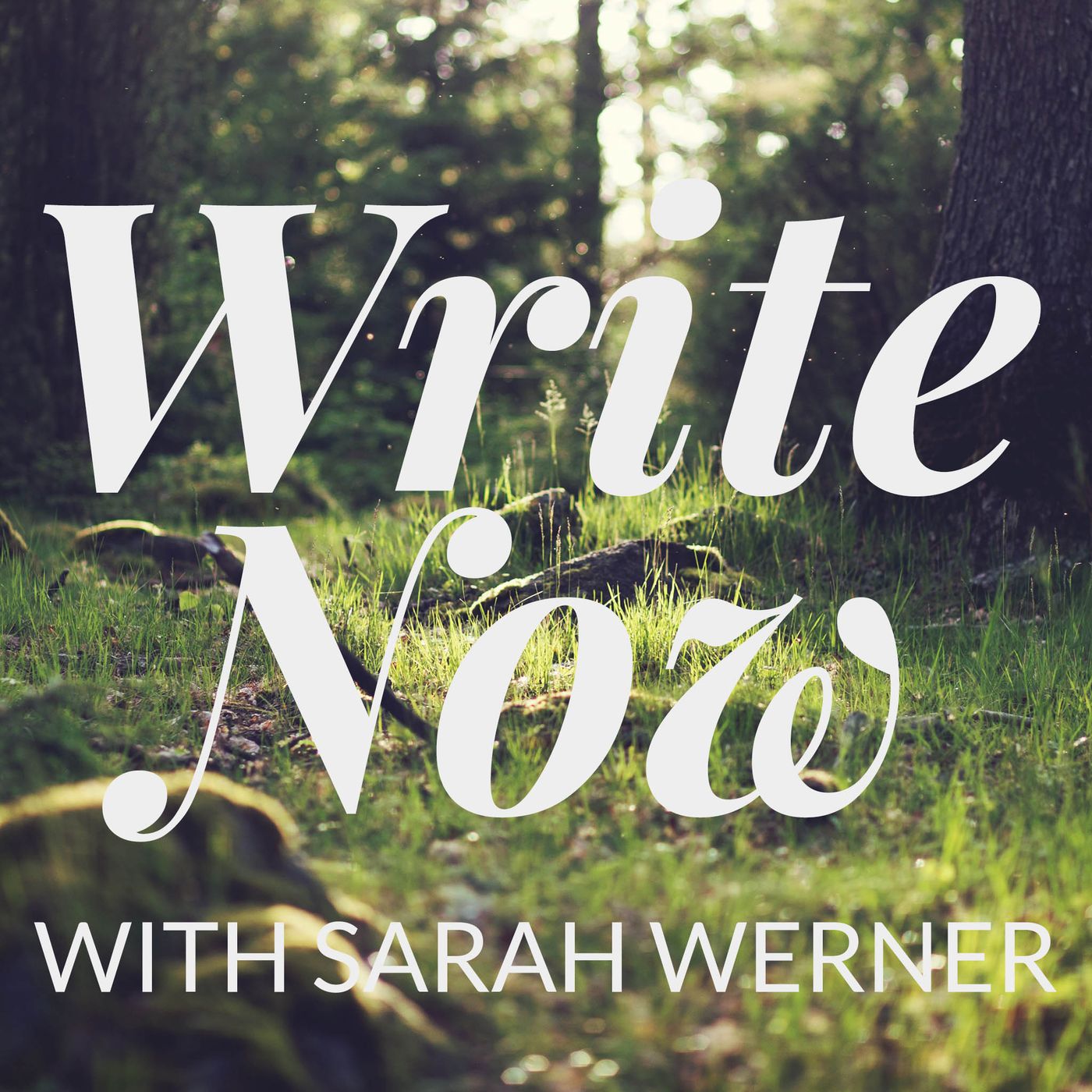 Write Now with Sarah Werner | For Writers, On Writing