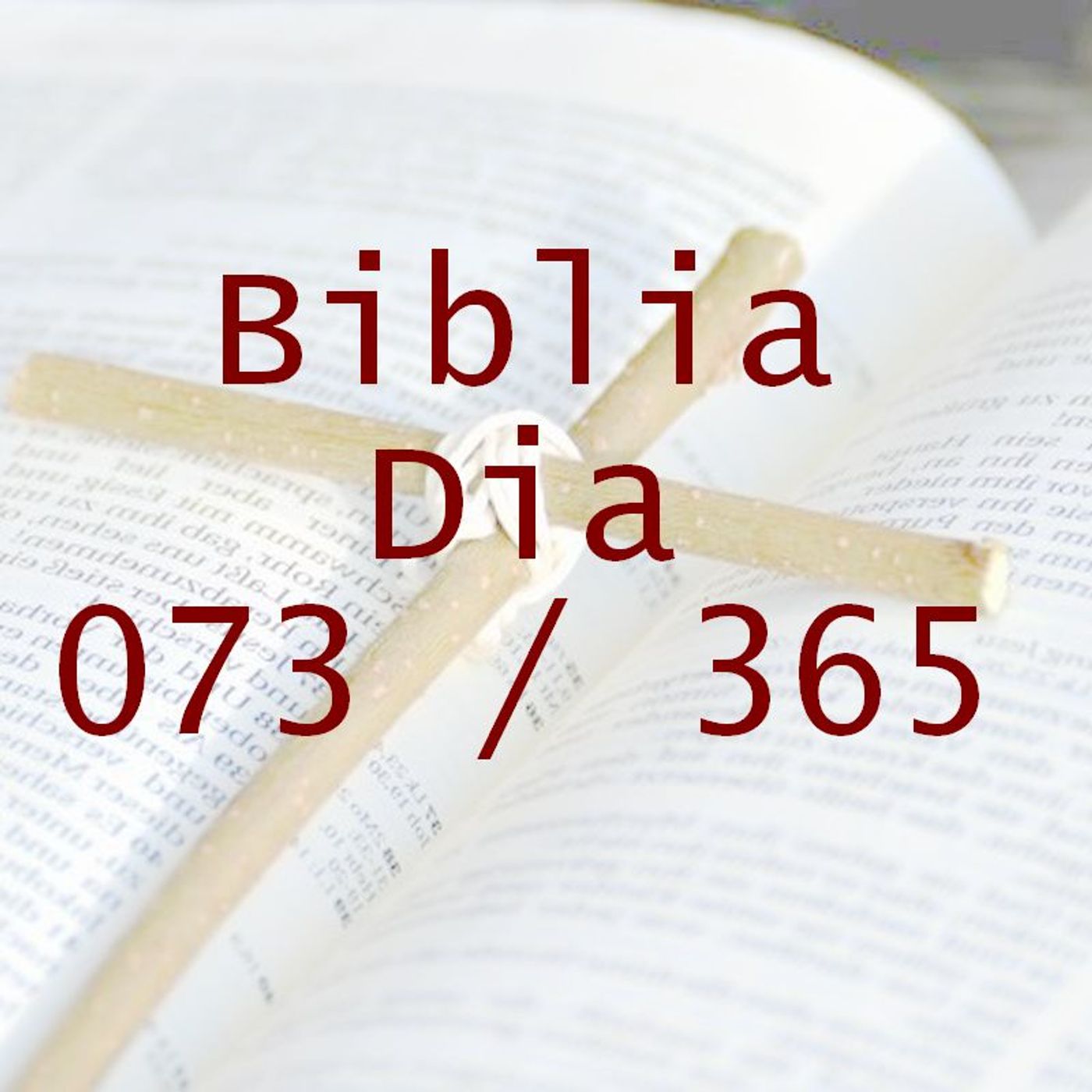 La Biblia en 365 dias
