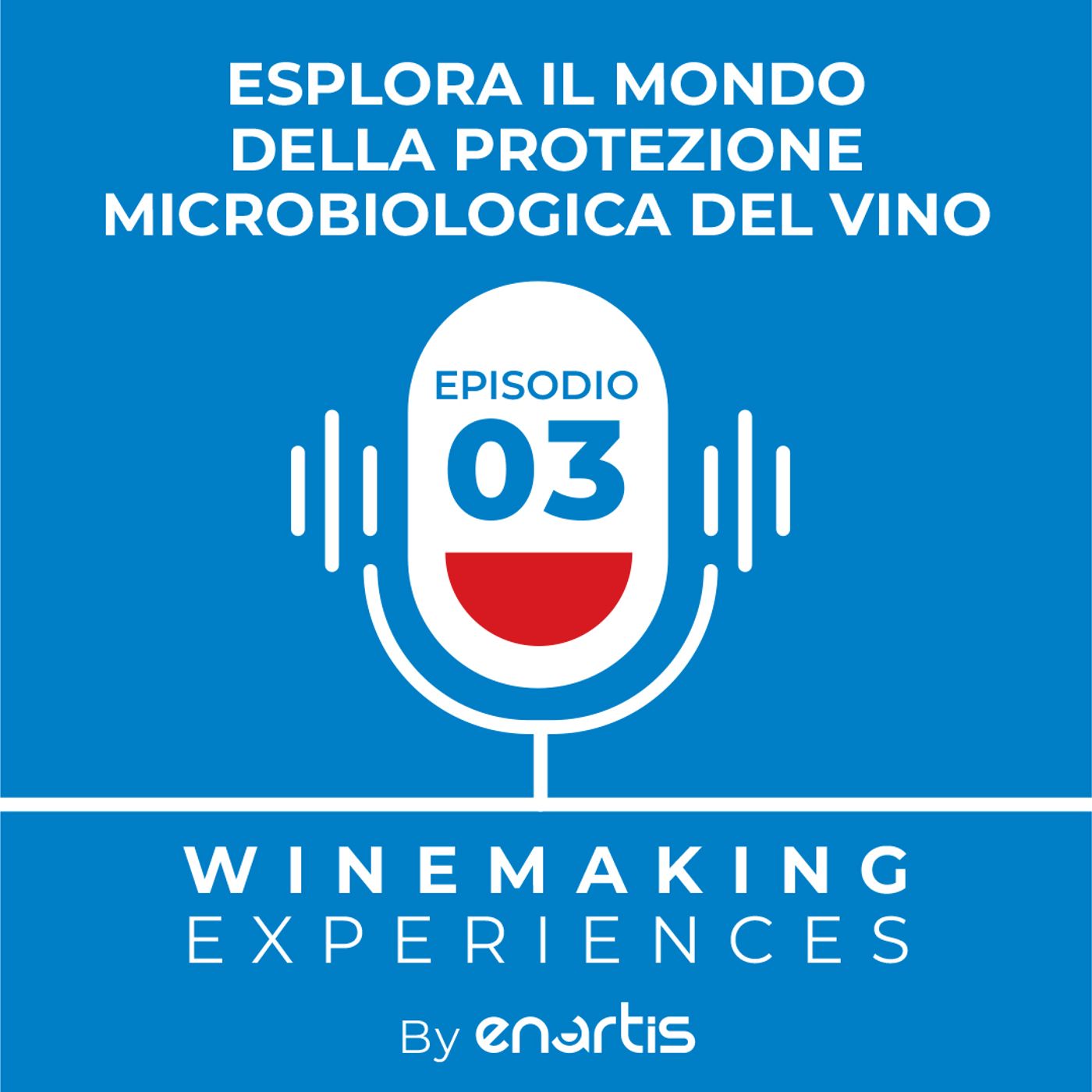 Winemaking Experiences by Enartis (versione italiana)