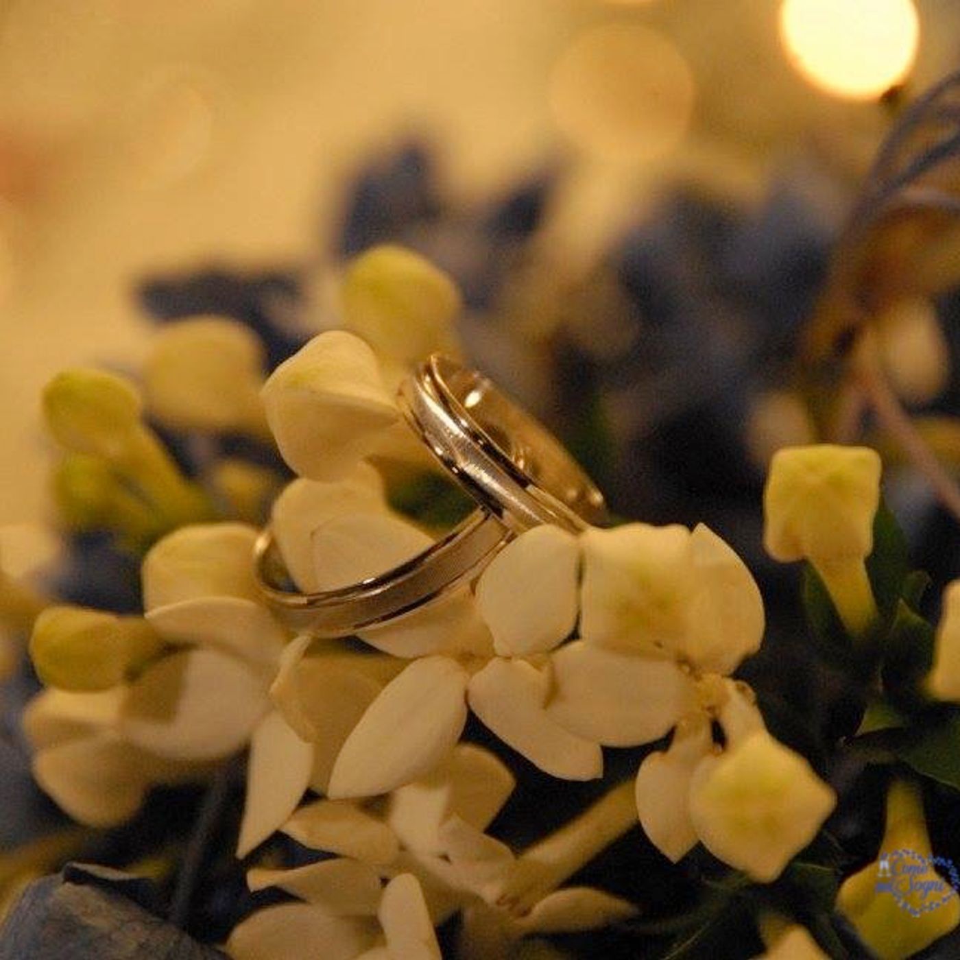 Wedding Planner Torino - Come nei Sogni®