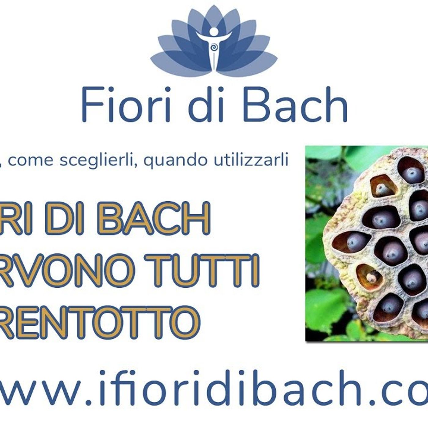 Fiori di Bach - mi servono tutti e 38? episode artwork